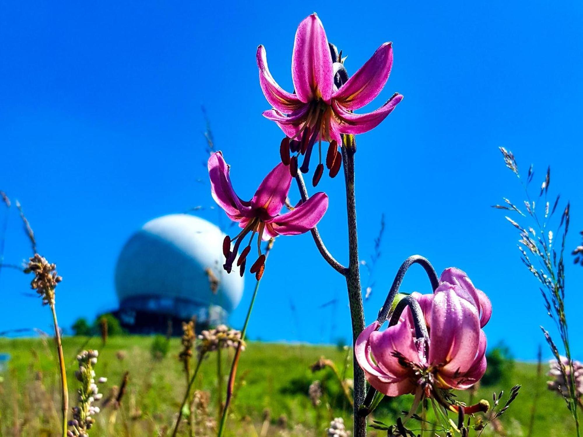 Peterchens Mondfahrt - Wasserkuppe Ґерсфельд Екстер'єр фото