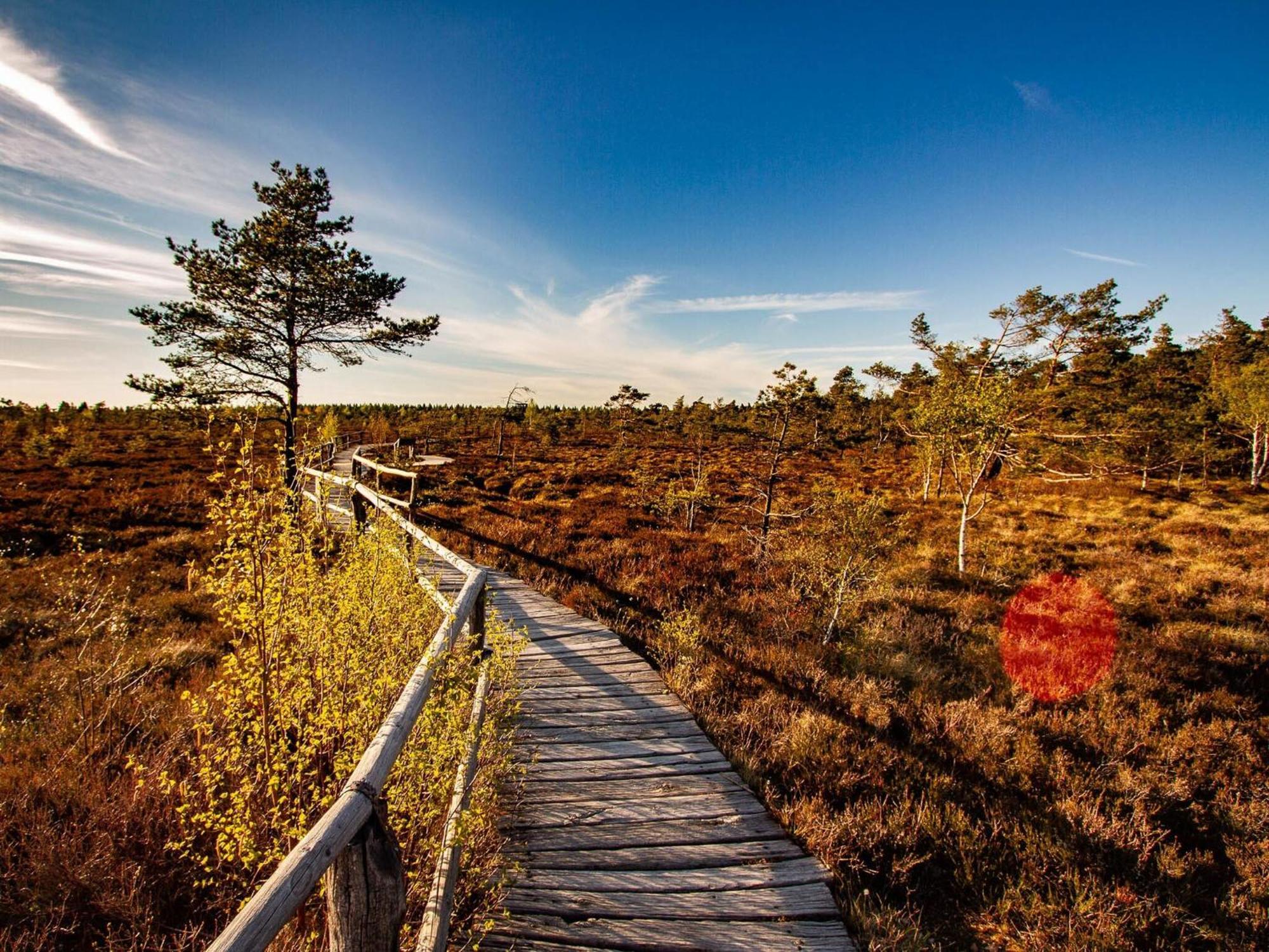 Peterchens Mondfahrt - Wasserkuppe Ґерсфельд Екстер'єр фото
